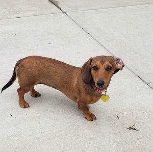 Meet your Posher, Kathleen